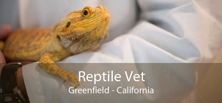 Reptile Vet Greenfield - California