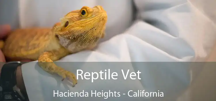 Reptile Vet Hacienda Heights - California