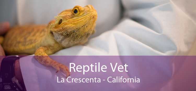 Reptile Vet La Crescenta - California