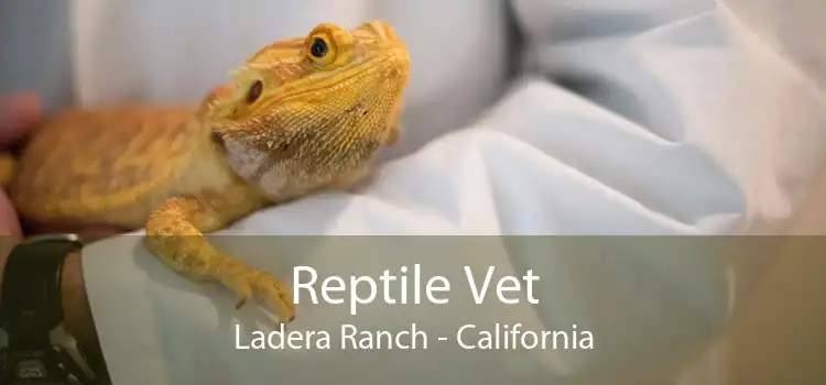 Reptile Vet Ladera Ranch - California