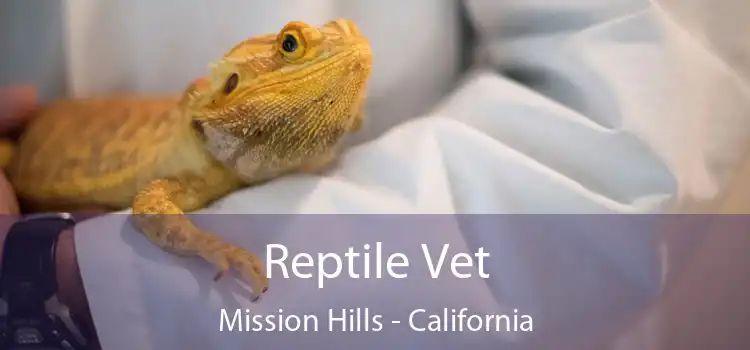 Reptile Vet Mission Hills - California