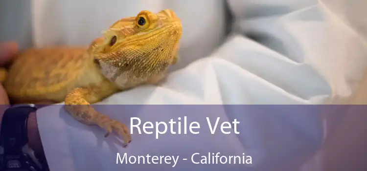 Reptile Vet Monterey - California