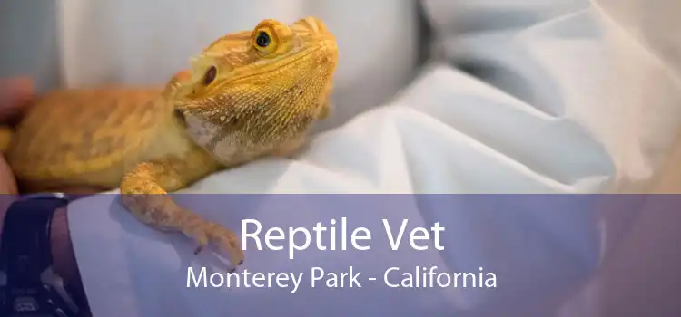 Reptile Vet Monterey Park - California