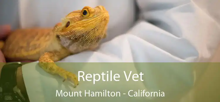 Reptile Vet Mount Hamilton - California