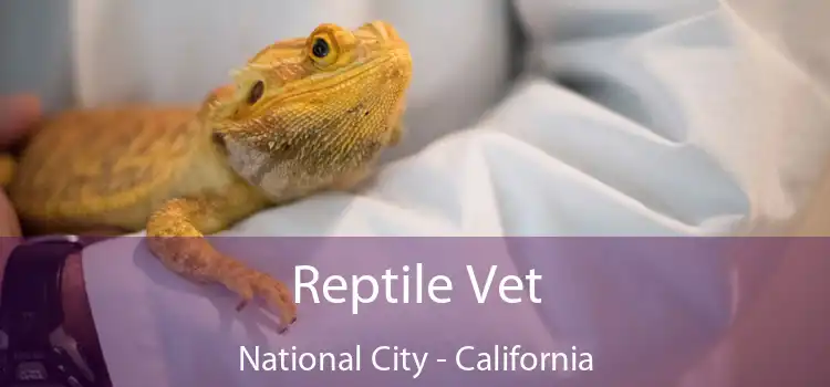 Reptile Vet National City - California