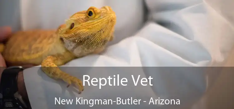 Reptile Vet New Kingman-Butler - Arizona