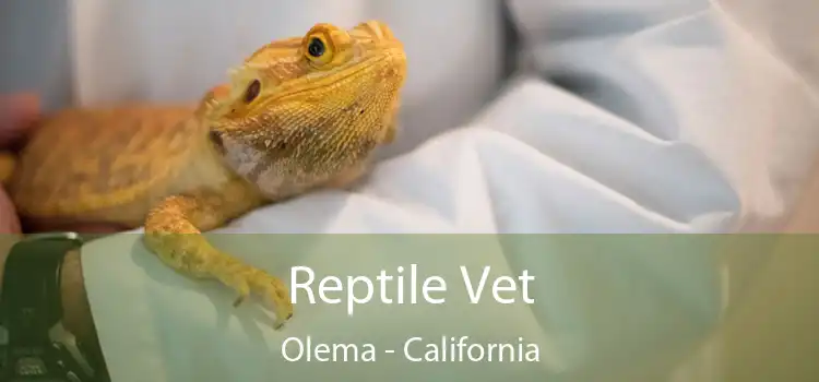 Reptile Vet Olema - California