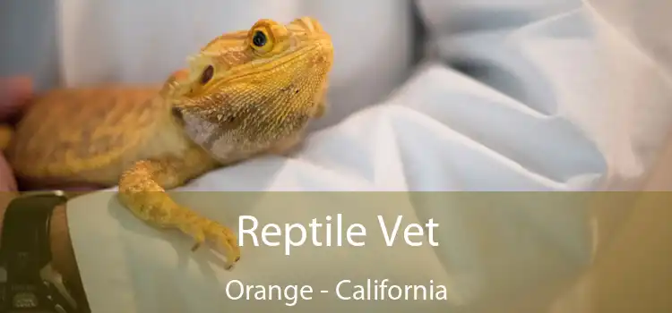 Reptile Vet Orange - California