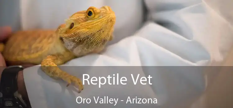 Reptile Vet Oro Valley - Arizona