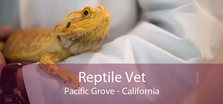 Reptile Vet Pacific Grove - California
