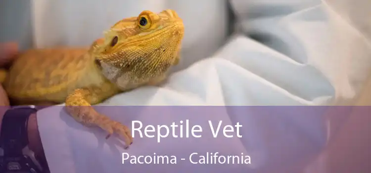 Reptile Vet Pacoima - California