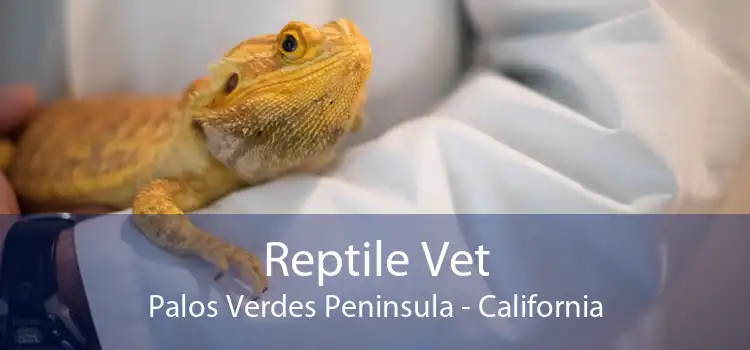 Reptile Vet Palos Verdes Peninsula - California