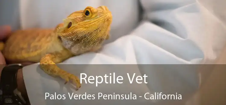 Reptile Vet Palos Verdes Peninsula - California