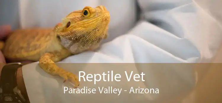 Reptile Vet Paradise Valley - Arizona