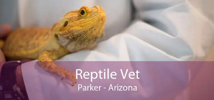 Reptile Vet Parker - Arizona