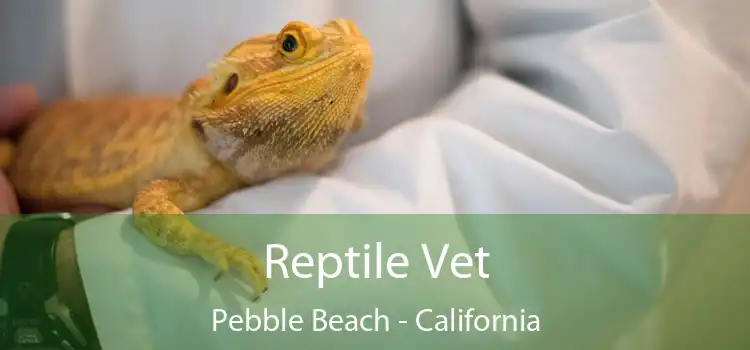 Reptile Vet Pebble Beach - California