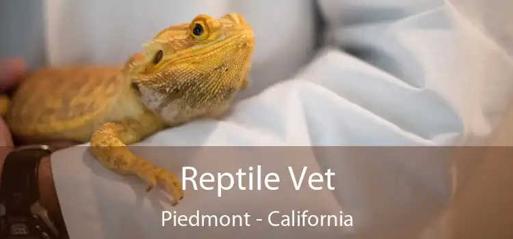 Reptile Vet Piedmont - California