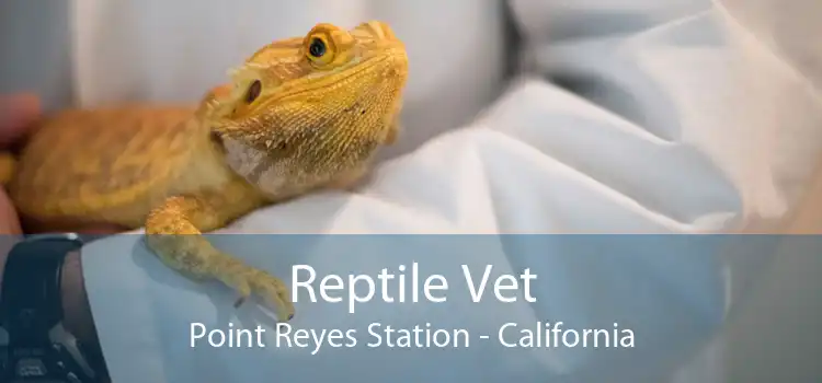 Reptile Vet Point Reyes Station - California