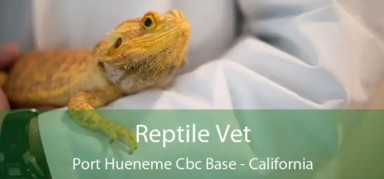 Reptile Vet Port Hueneme Cbc Base - California