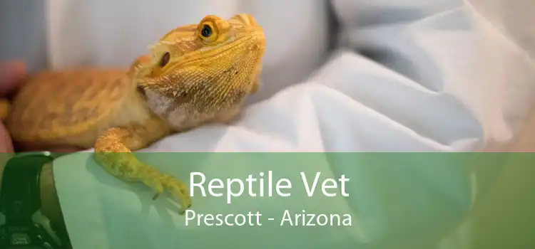 Reptile Vet Prescott - Arizona