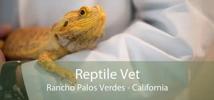 Reptile Vet Rancho Palos Verdes - California