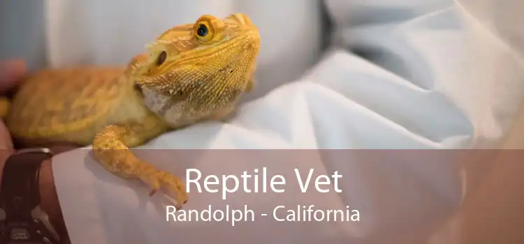 Reptile Vet Randolph - California