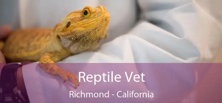 Reptile Vet Richmond - California