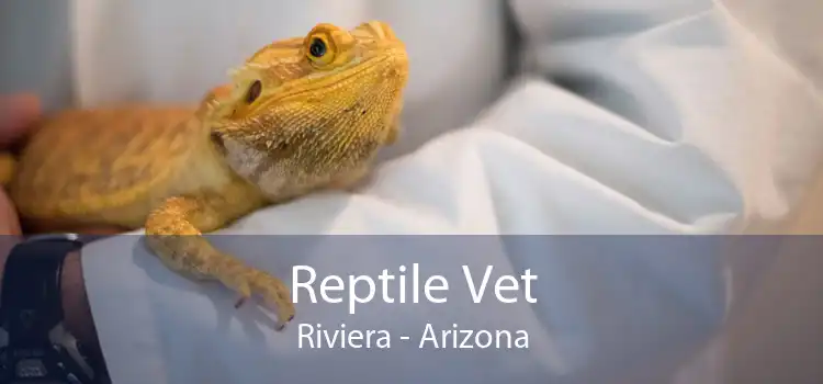 Reptile Vet Riviera - Arizona