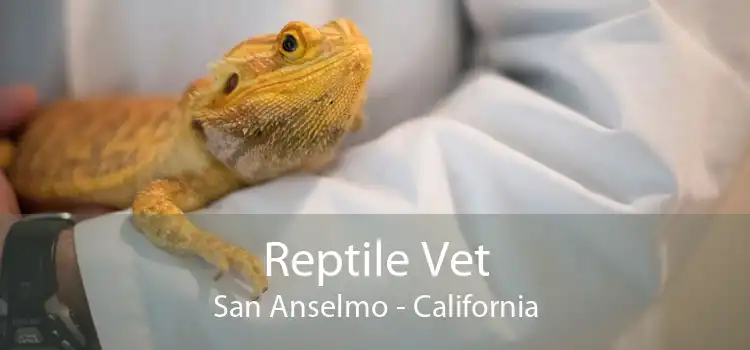 Reptile Vet San Anselmo - California