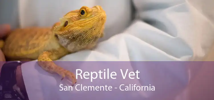 Reptile Vet San Clemente - California