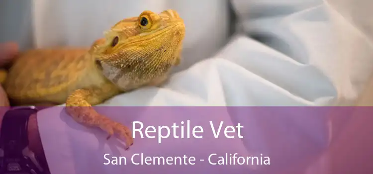 Reptile Vet San Clemente - California