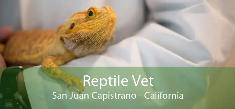 Reptile Vet San Juan Capistrano - California