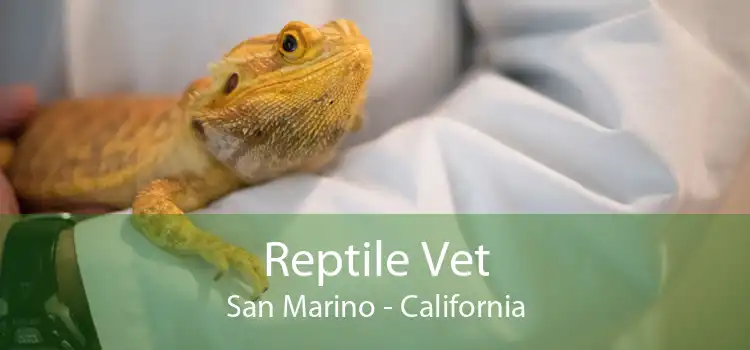 Reptile Vet San Marino - California