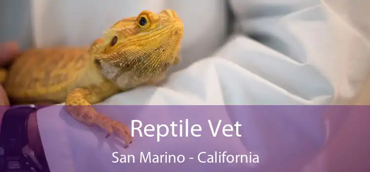 Reptile Vet San Marino - California