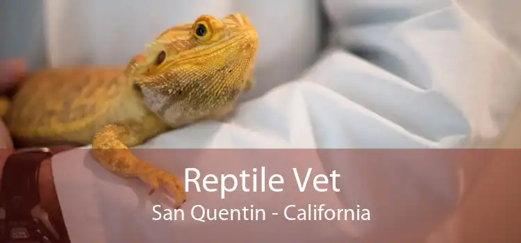 Reptile Vet San Quentin - California