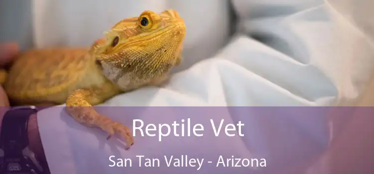 Reptile Vet San Tan Valley - Arizona