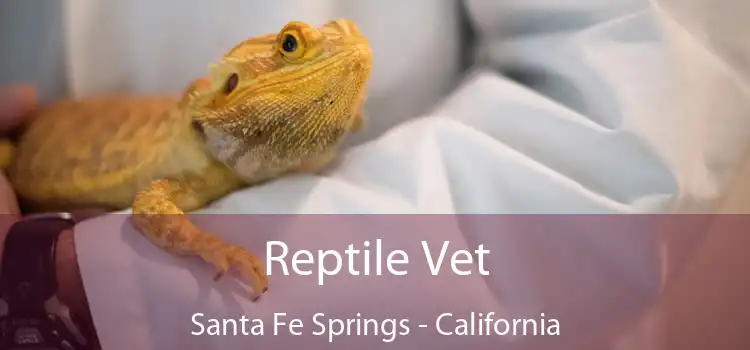 Reptile Vet Santa Fe Springs - California