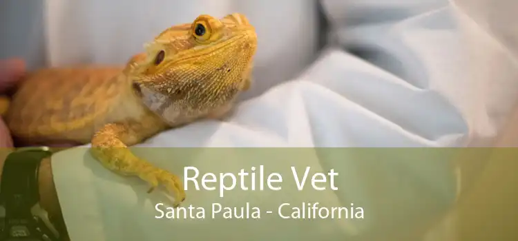 Reptile Vet Santa Paula - California