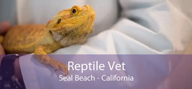 Reptile Vet Seal Beach - California