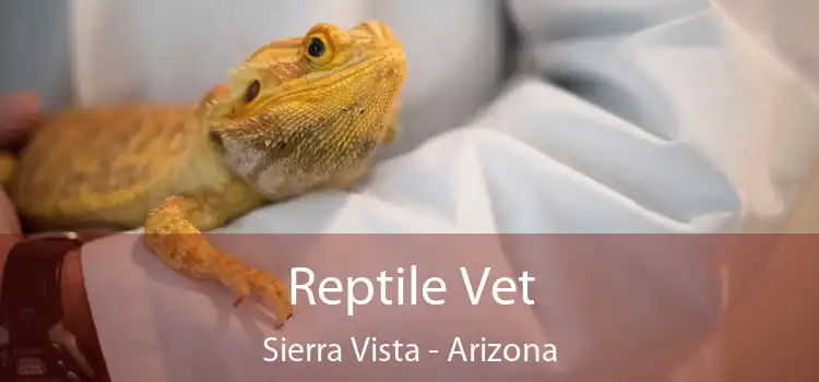 Reptile Vet Sierra Vista - Arizona