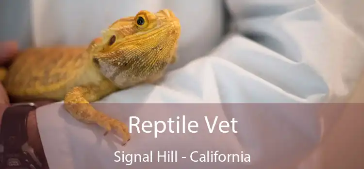 Reptile Vet Signal Hill - California