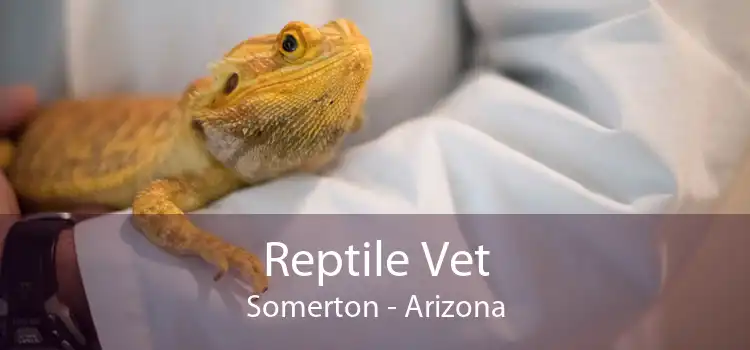 Reptile Vet Somerton - Arizona