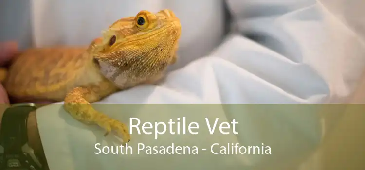 Reptile Vet South Pasadena - California