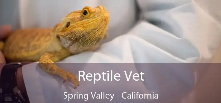 Reptile Vet Spring Valley - California