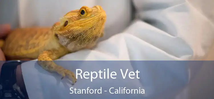 Reptile Vet Stanford - California