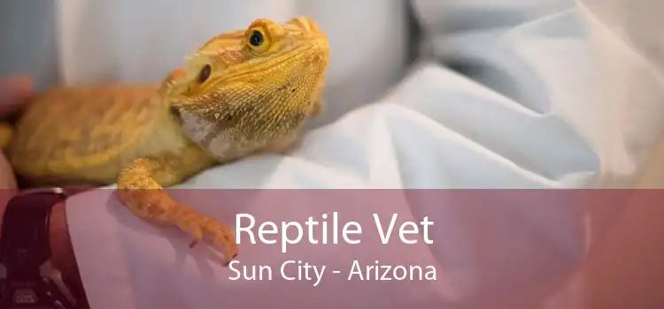 Reptile Vet Sun City - Arizona