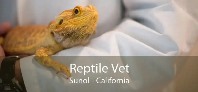 Reptile Vet Sunol - California