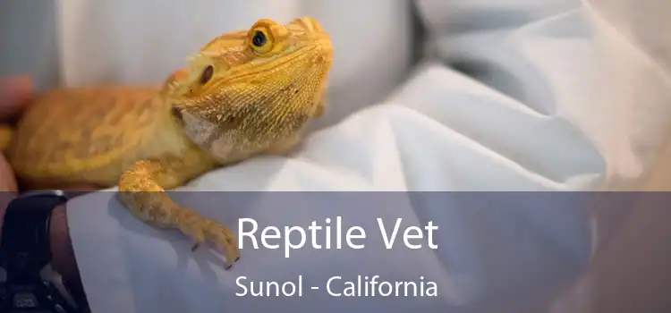 Reptile Vet Sunol - California