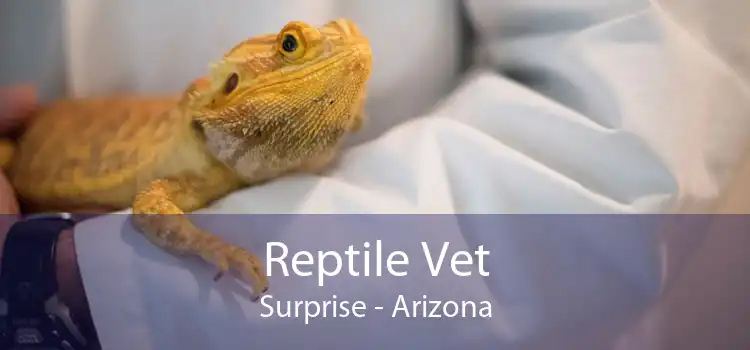 Reptile Vet Surprise - Arizona