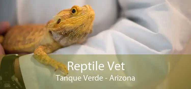 Reptile Vet Tanque Verde - Arizona